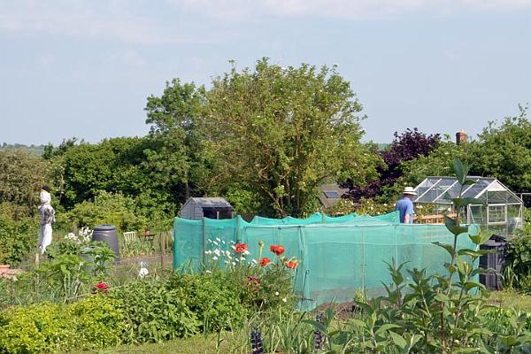 Allotments view.jpg